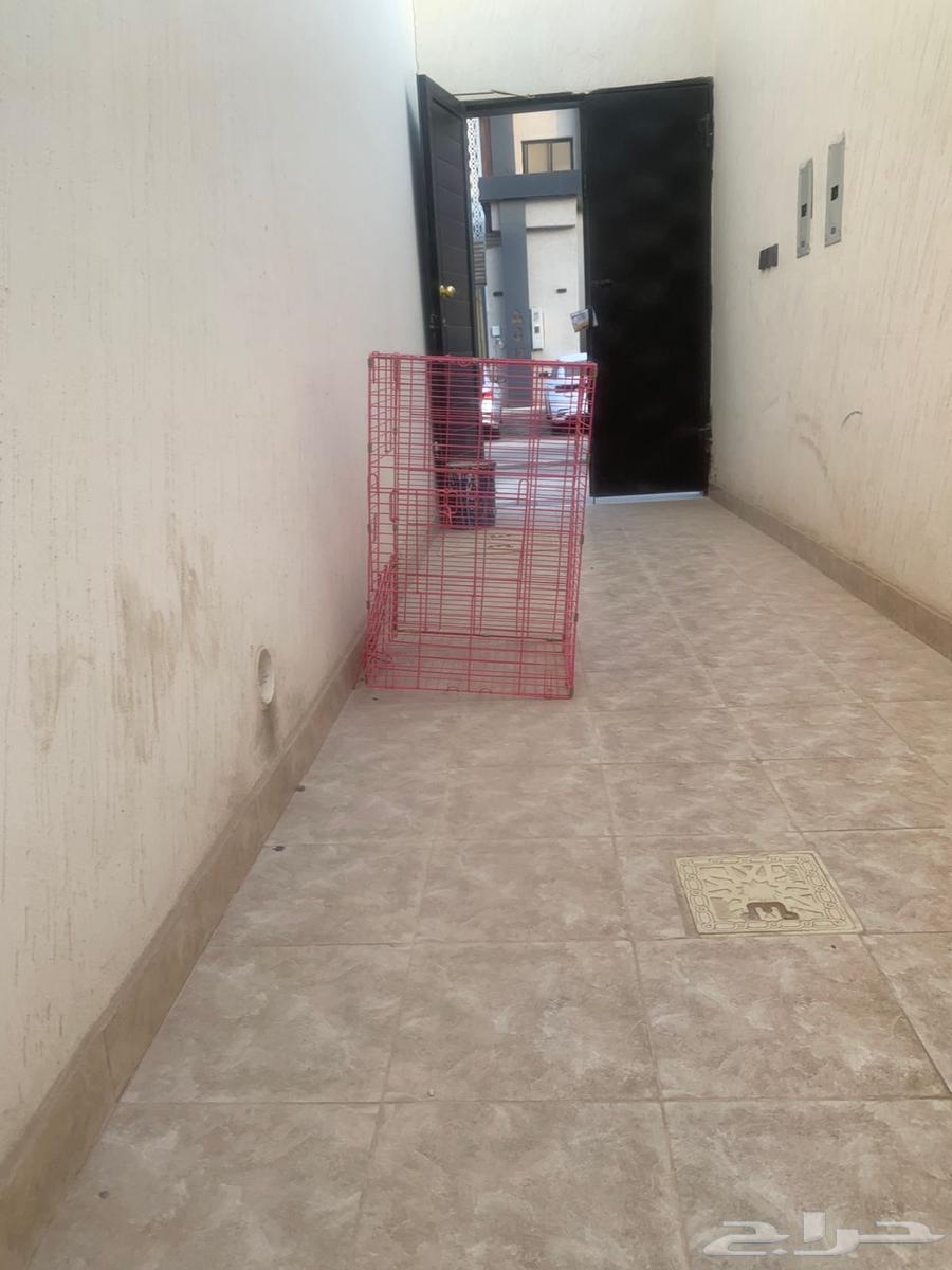 قفص طيور وأرانب لم يستخدم نهائي محدود 90ريال64594356695169110
