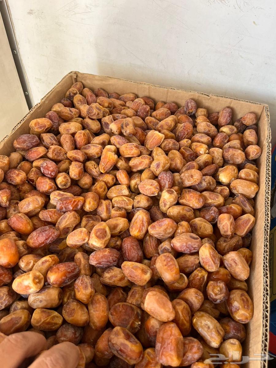 تمر خلاص ذهبي64596266158082110