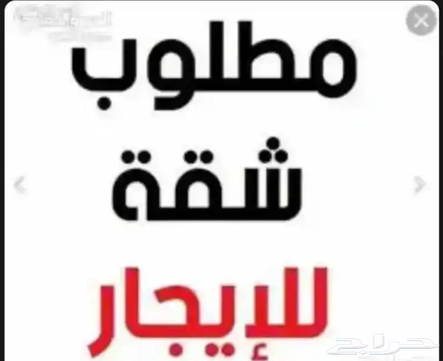 Apartment for rent in Bat'ha Quraysh, five rooms, monthly rent64146504553729110