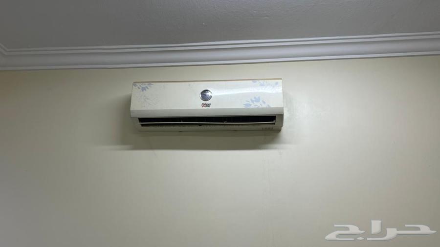 The Third64590177592322112