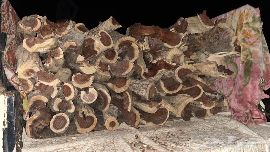 حطب سمر شرط64588594748674111