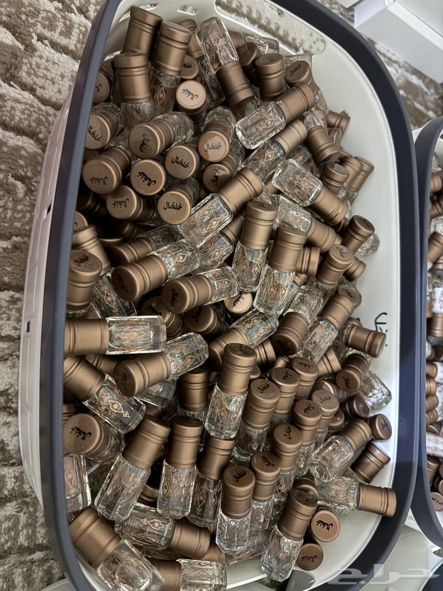 Tolat Musk is one of the best64591141660547113