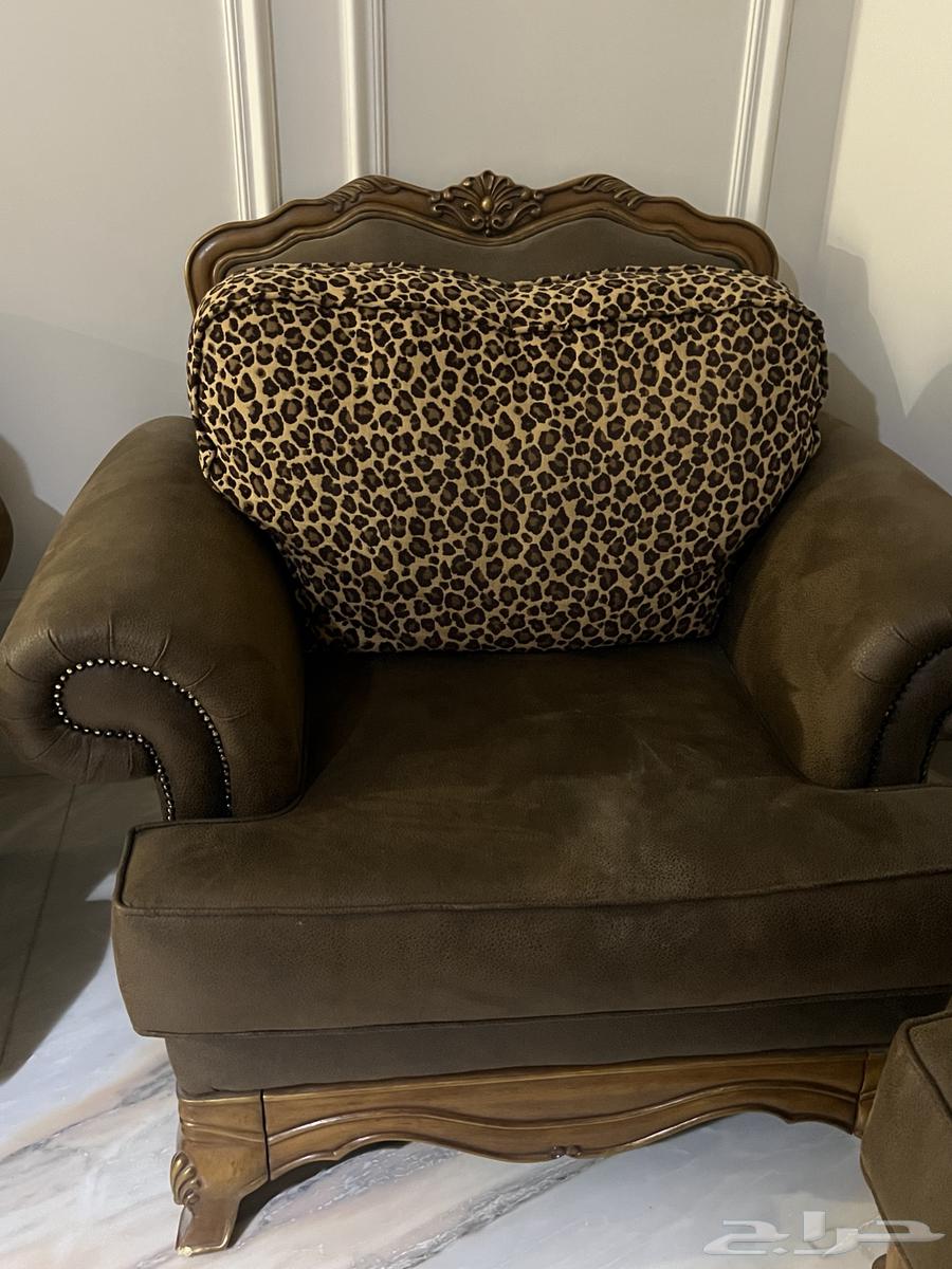 Sofa64596266134786111