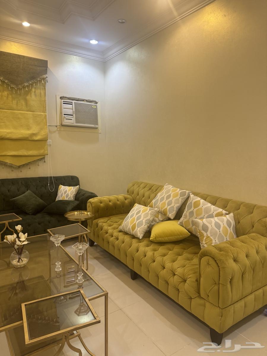 Alhowayh64589376786817113