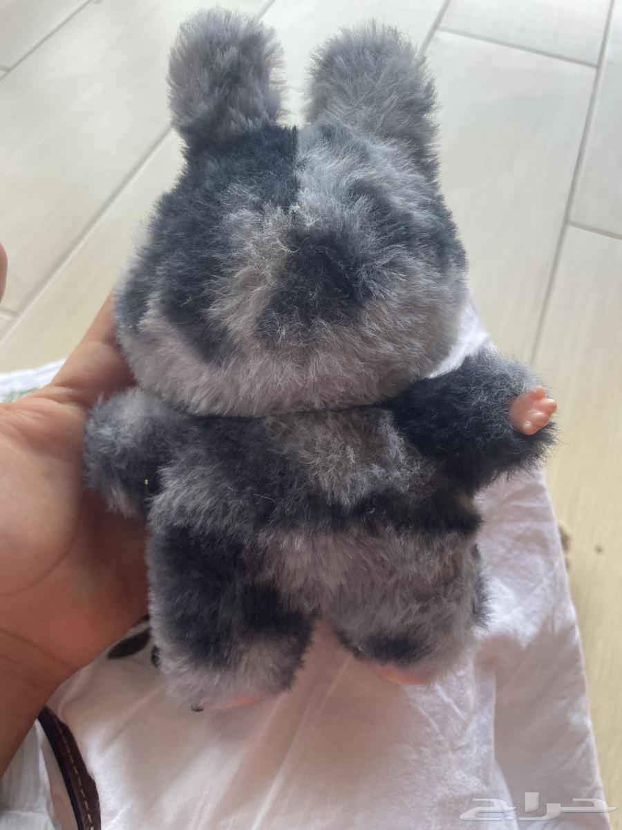 لابوبو 2 مستعمل له يومين64593313503361112