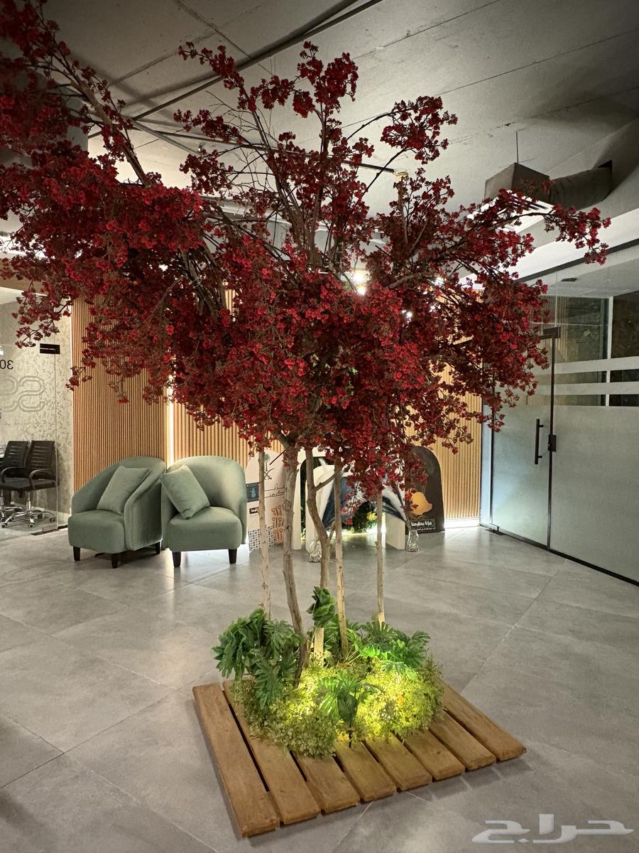 Decorative Tree64595956205569111