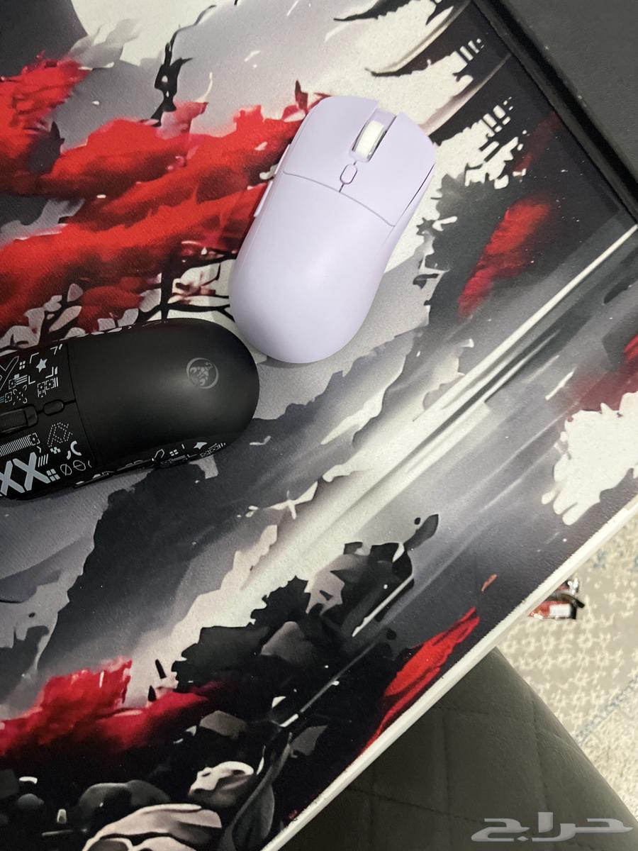 Mice and Keyboard64589657801986110