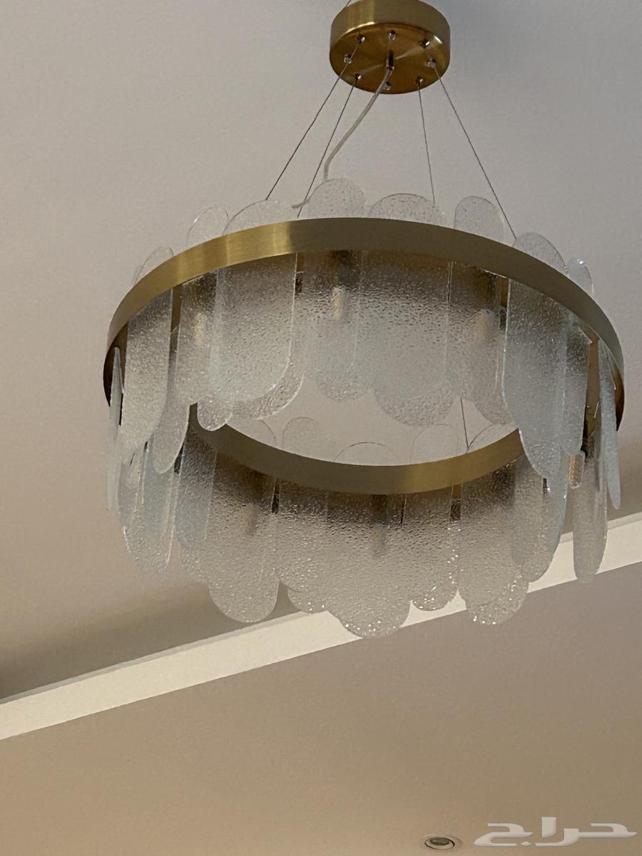 Thuria64596166482946110