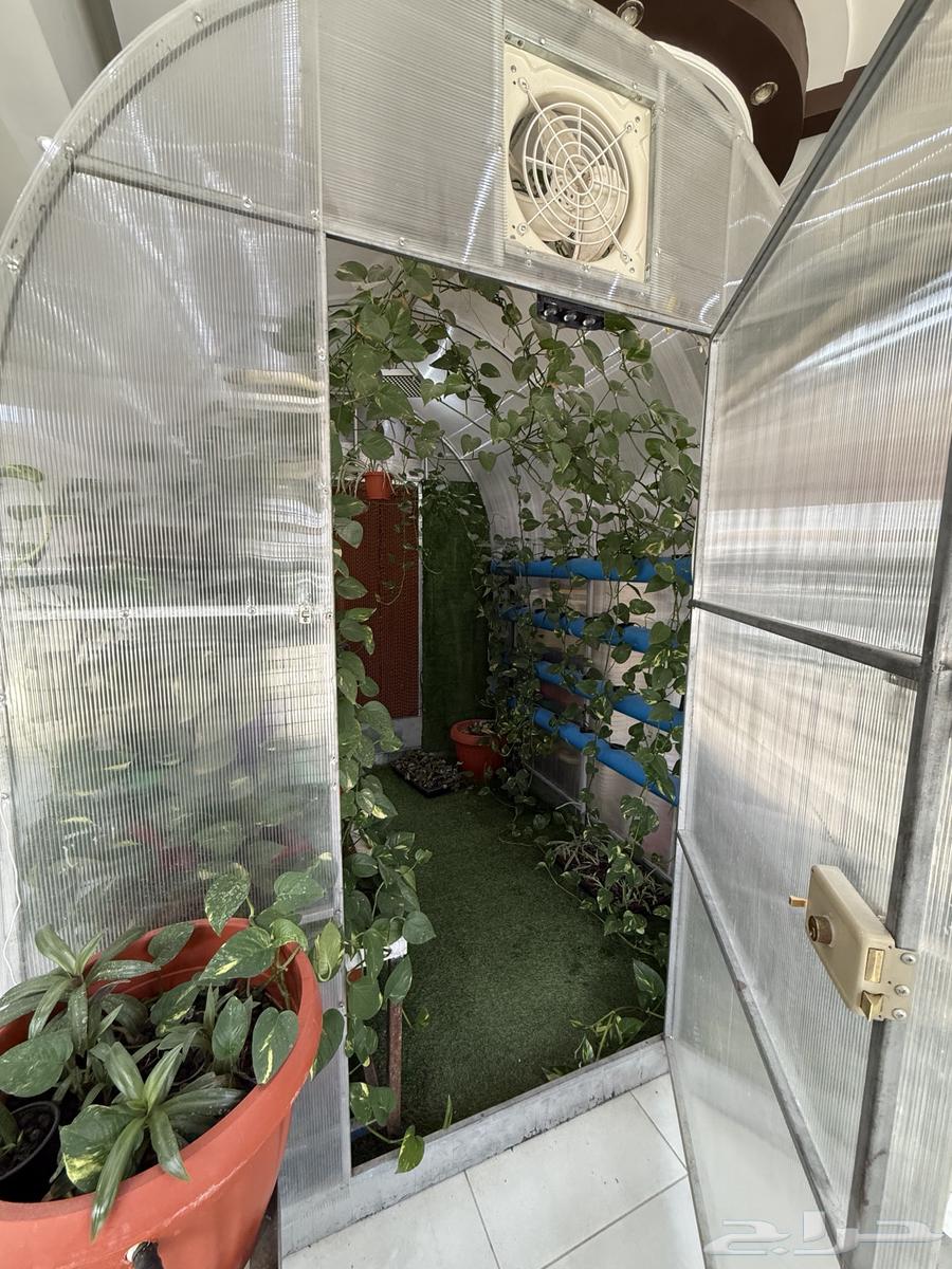 طريق ابي بكر الصديق64590545743619110