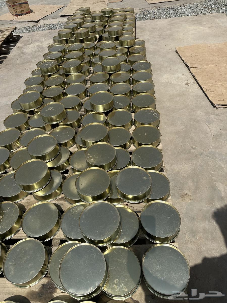 Safri Dates, 2 kg, Price 50 SAR64591550477826112