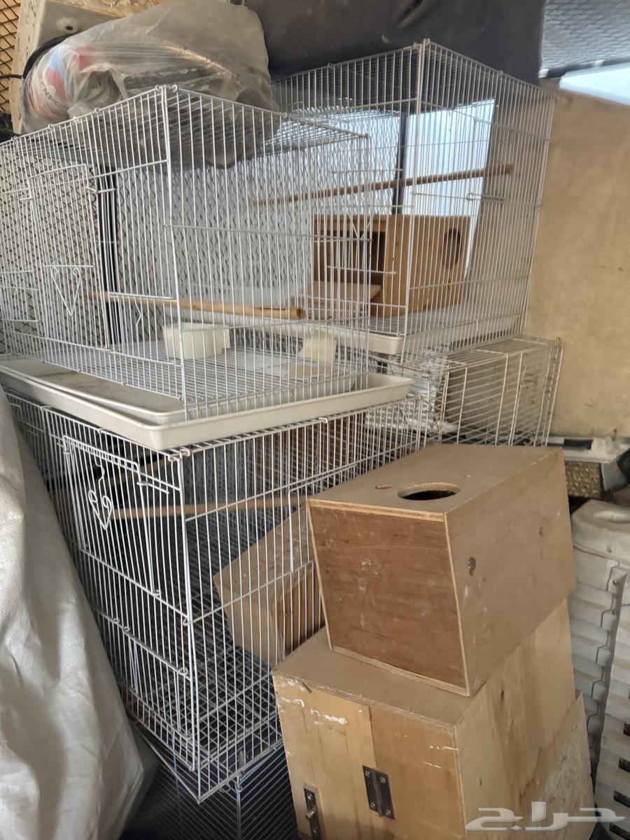 دريشه قديمه مع شبوك طيور عدد 1564588794067075112