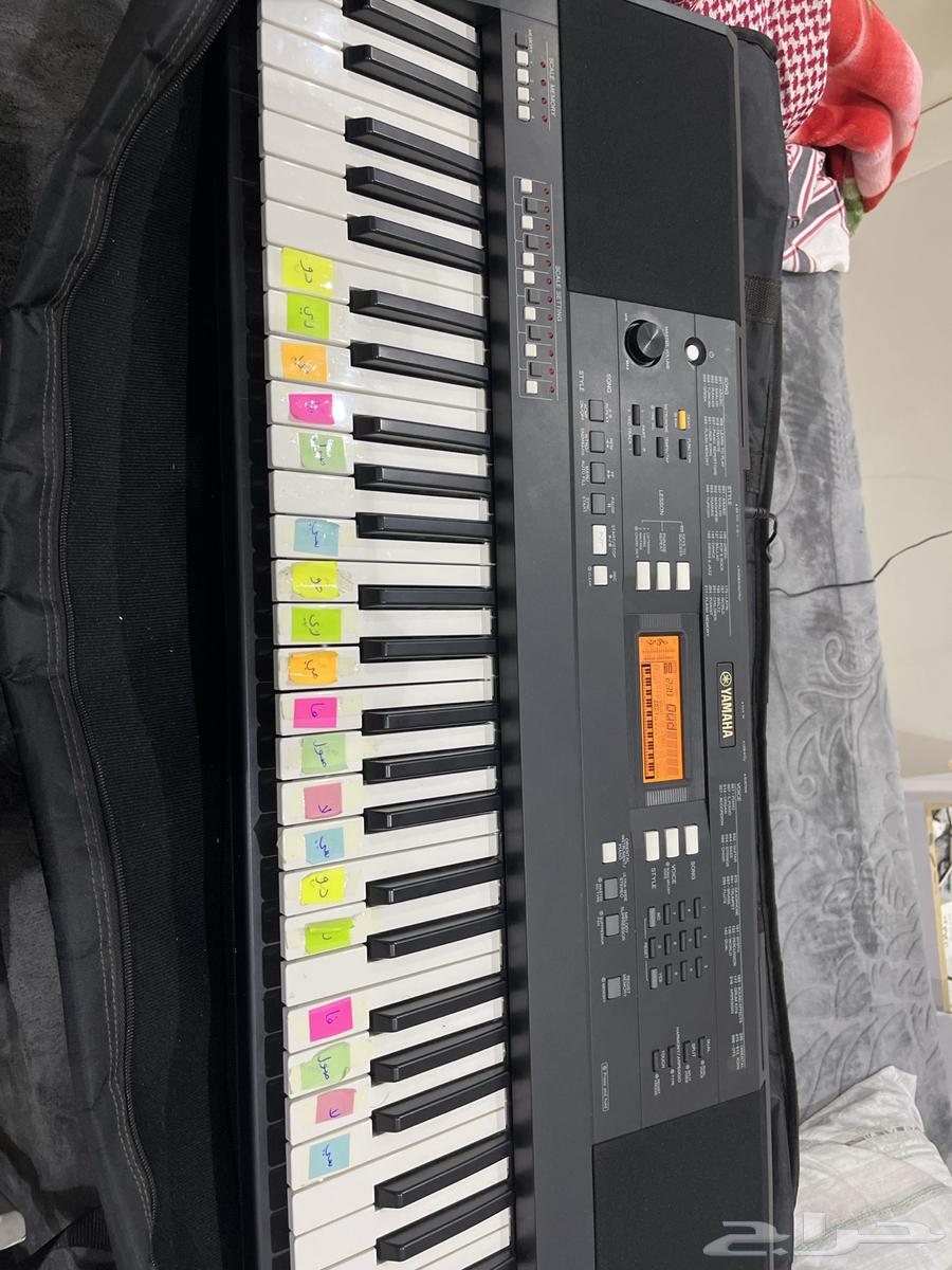 بيانو للدبكات و الموسيقى جديد جدا64591936870531110