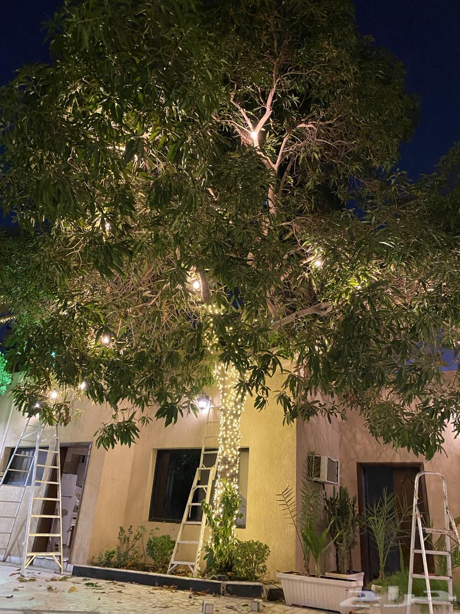 كهربائى مبانى64156901723651111