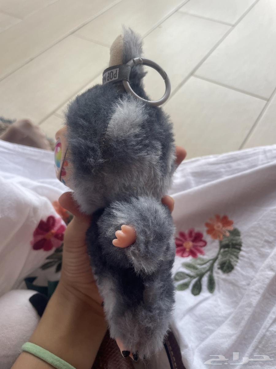 لابوبو 2 مستعمل له يومين64593313503361114