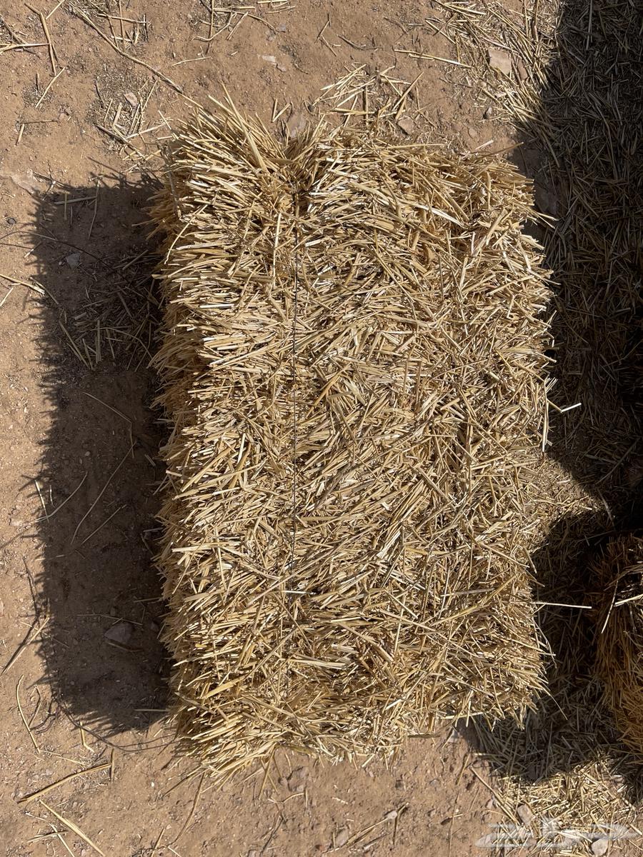 تبن بر للبيع64588371797507111