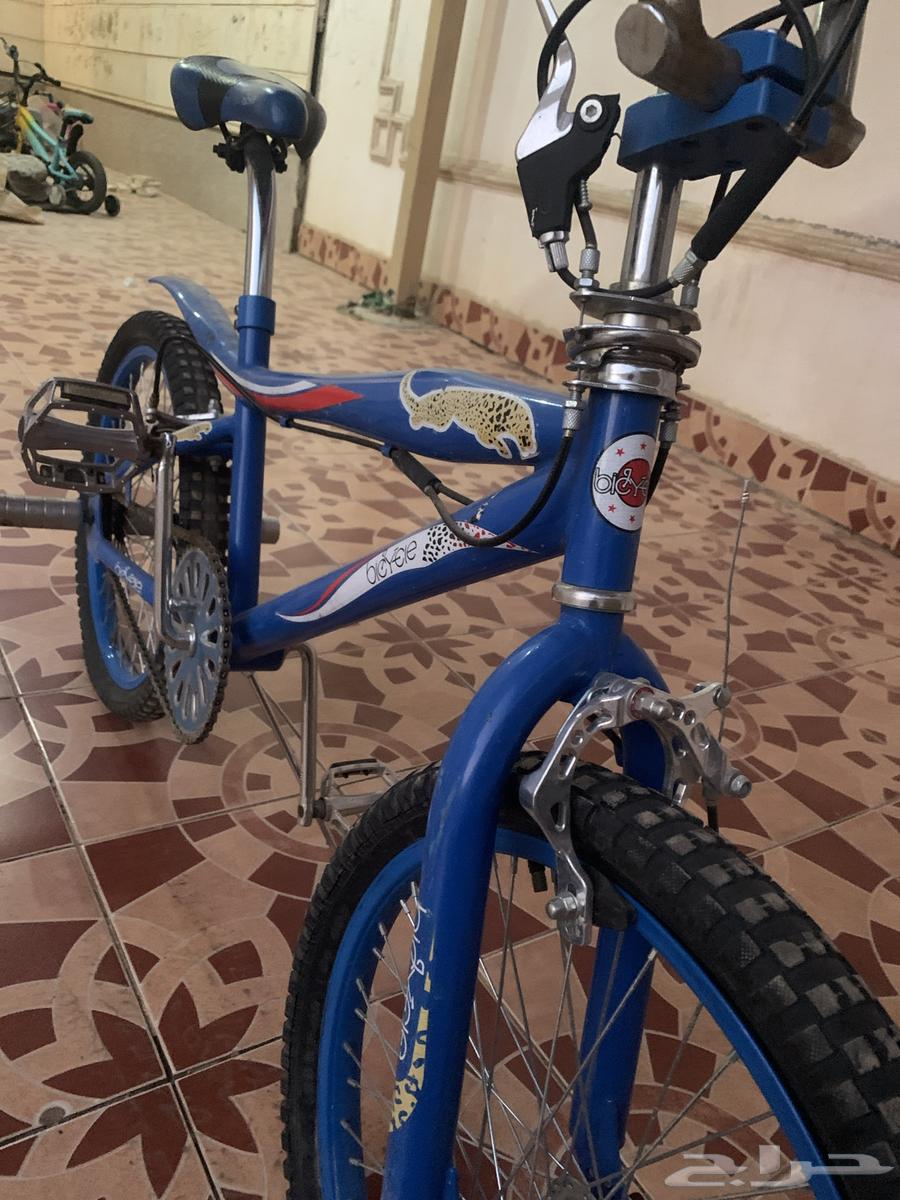 سيكل كوبرا نظيف64593900532865112