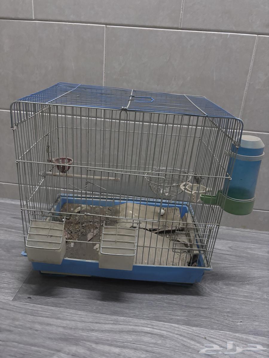أقفاص عصافير للبيع64588359664642110