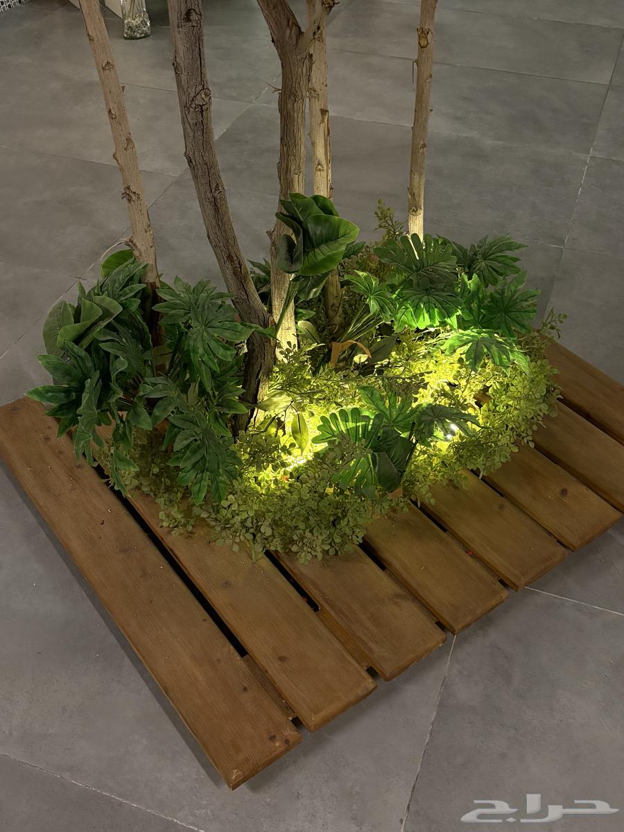 Decorative Tree64595956205569112