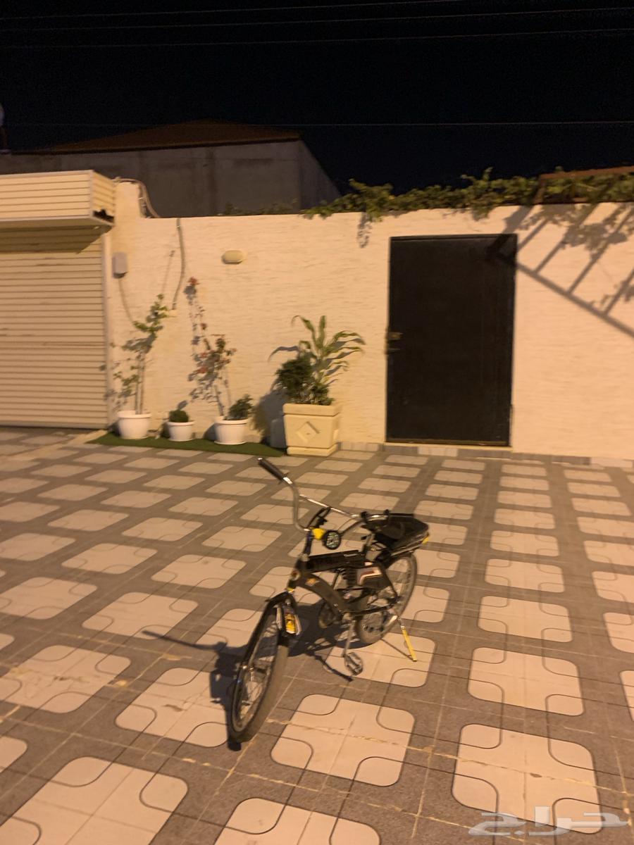 سيكل رامبو64596365833346113