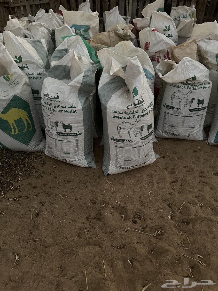 Samad64595267512578110