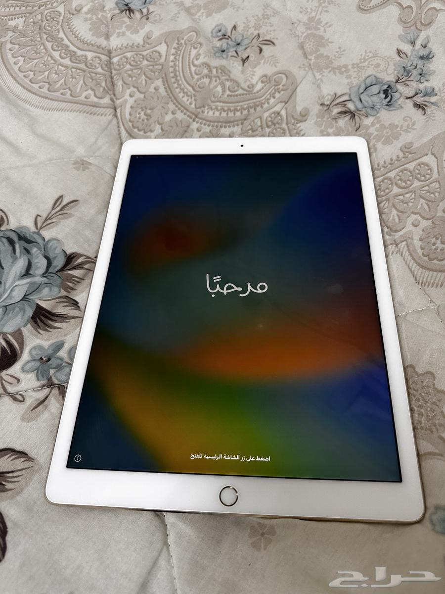 ايباد برو 12.964591117397634111