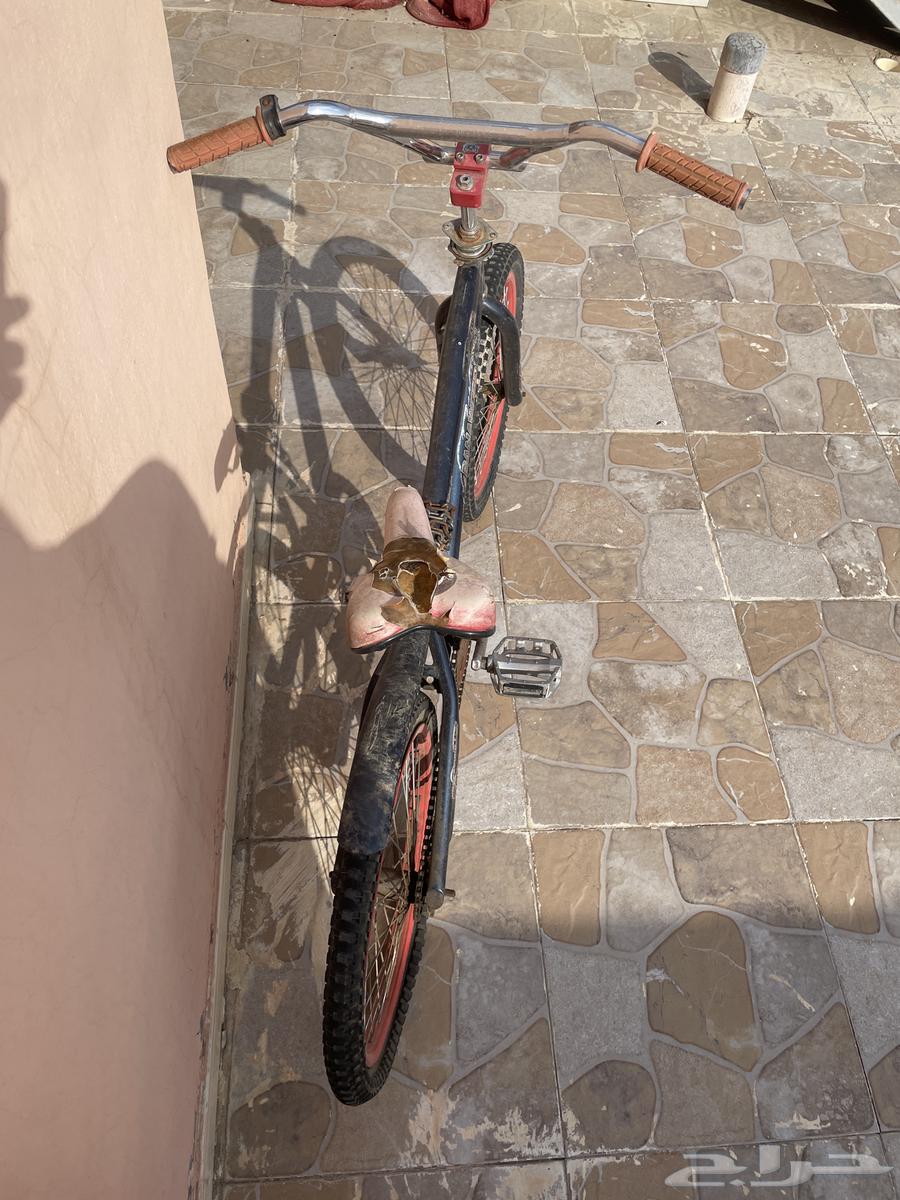 كوبرا للبيع   تحتاج صيانة بسيطة64592516689409111