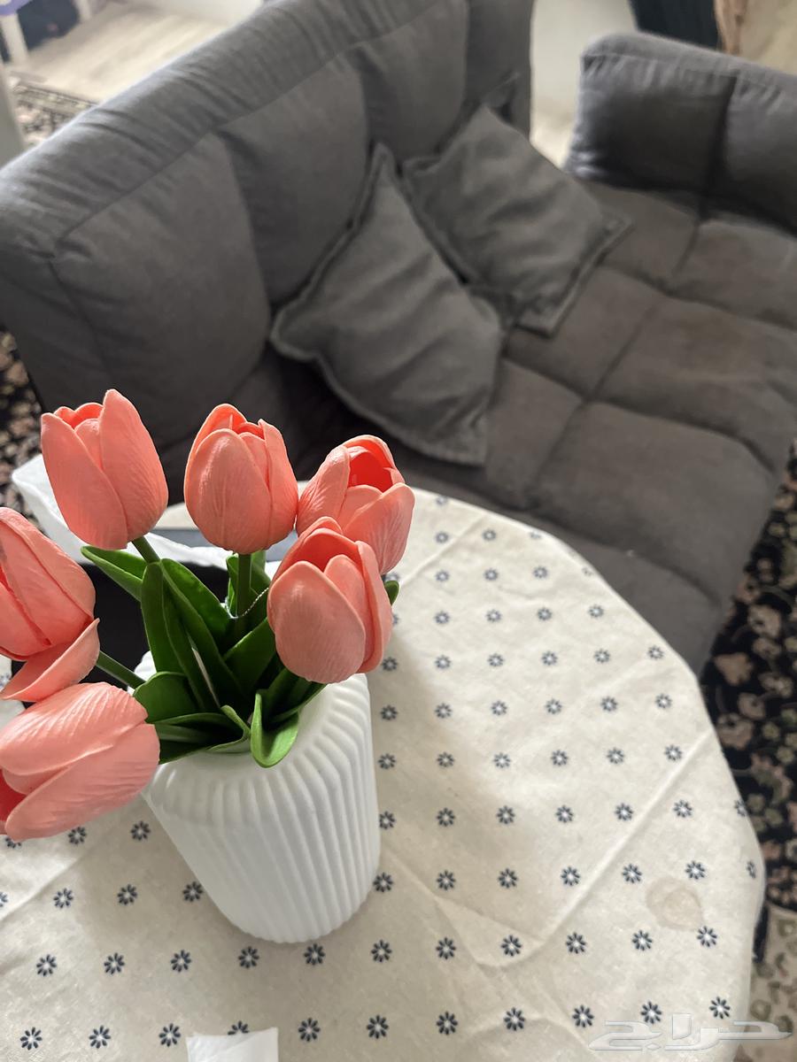 كنبه صغيره من روف64591622582659112