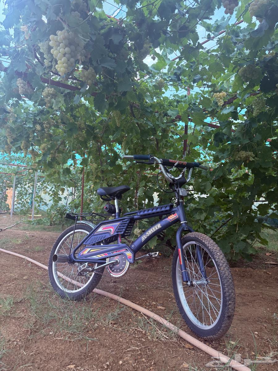 سيكل رامبو السيكل اصلي اندنوسي الختم مسروق و المرتبه.64595428501249112