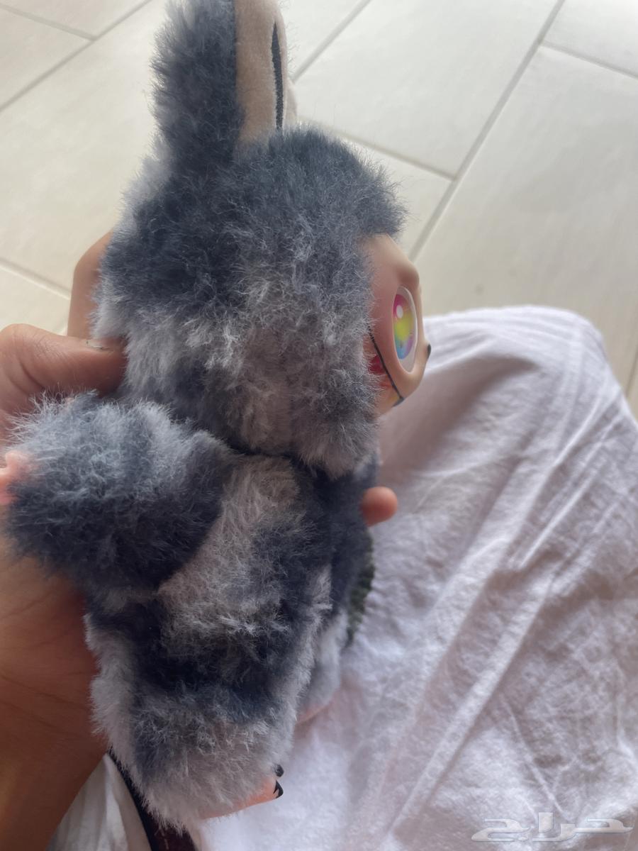 لابوبو 2 مستعمل له يومين64593313503361113