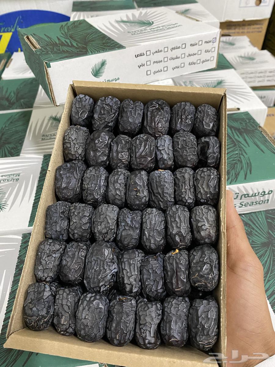 Organic Ajwa Dates64588310389123110