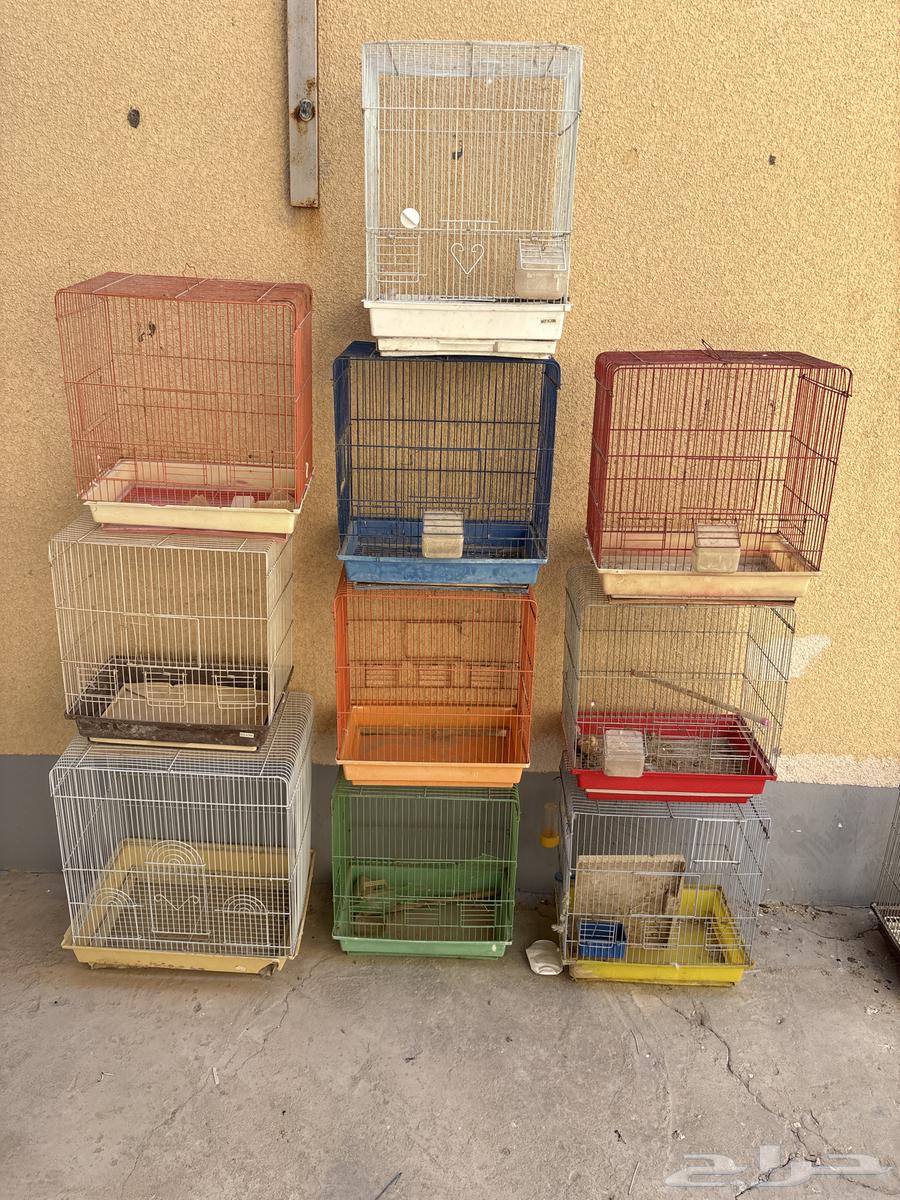 10 اقفاص للبيع بحالته64590323125762110