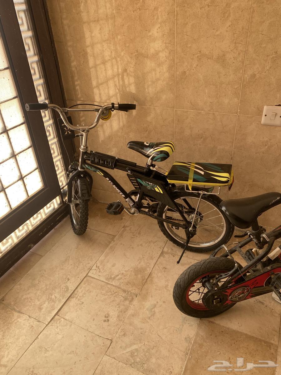 سيكلين لبيع64590874056706111