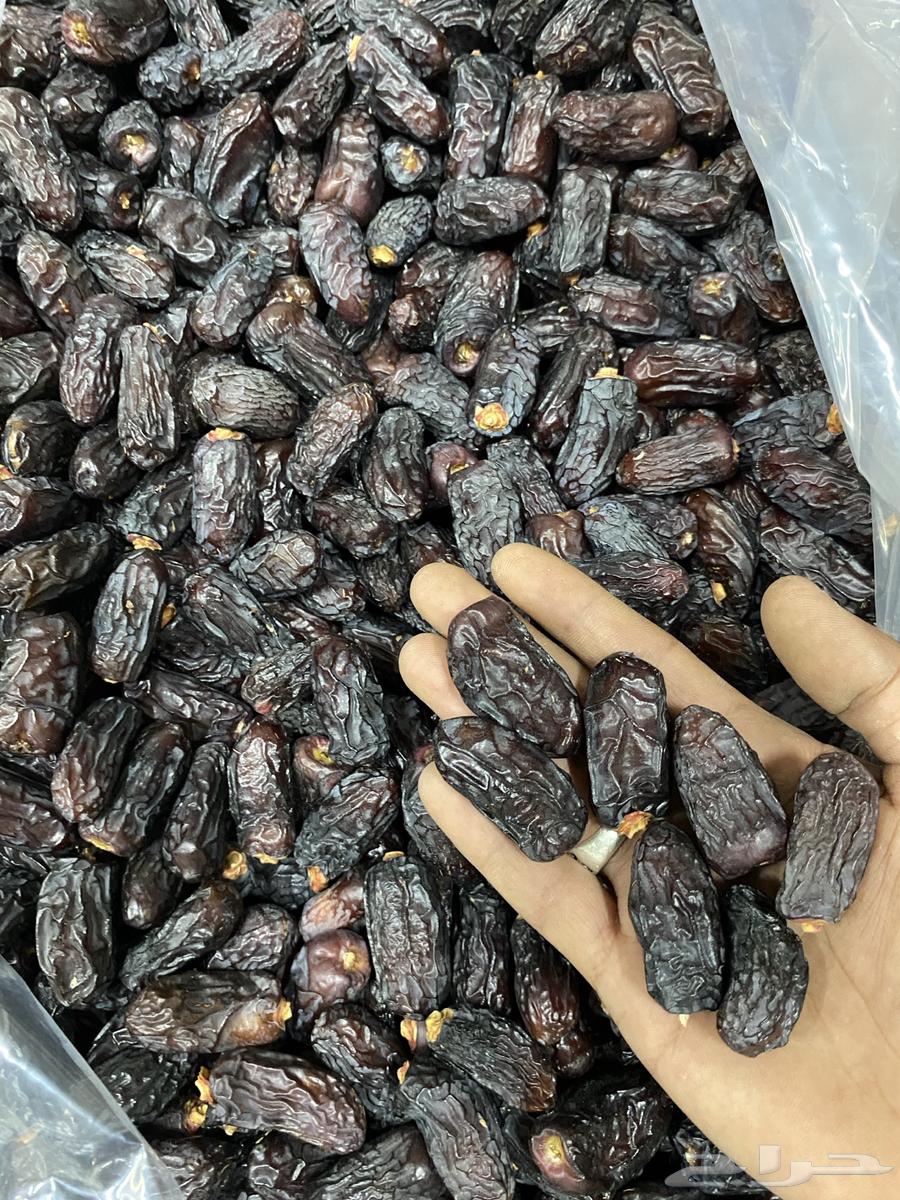 Organic Ajwa Dates64588310389123112