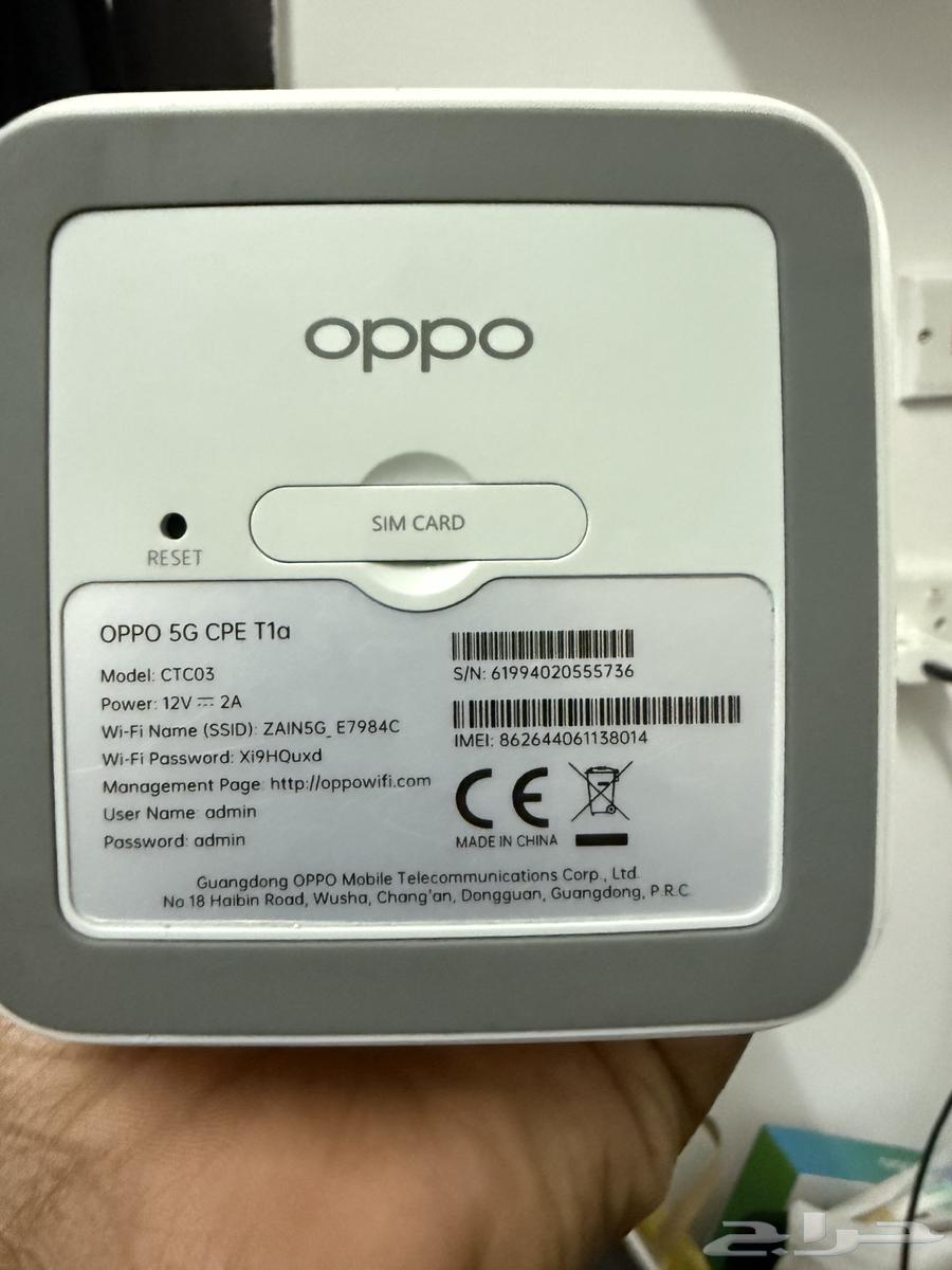 نت زين64589055072386112