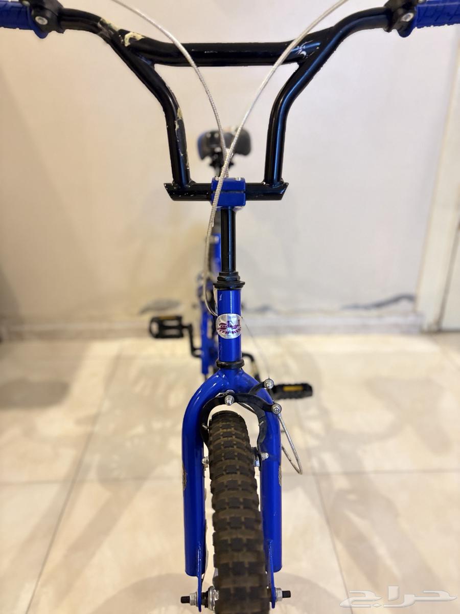 سيكل كوبرا ازرق64595107953411113