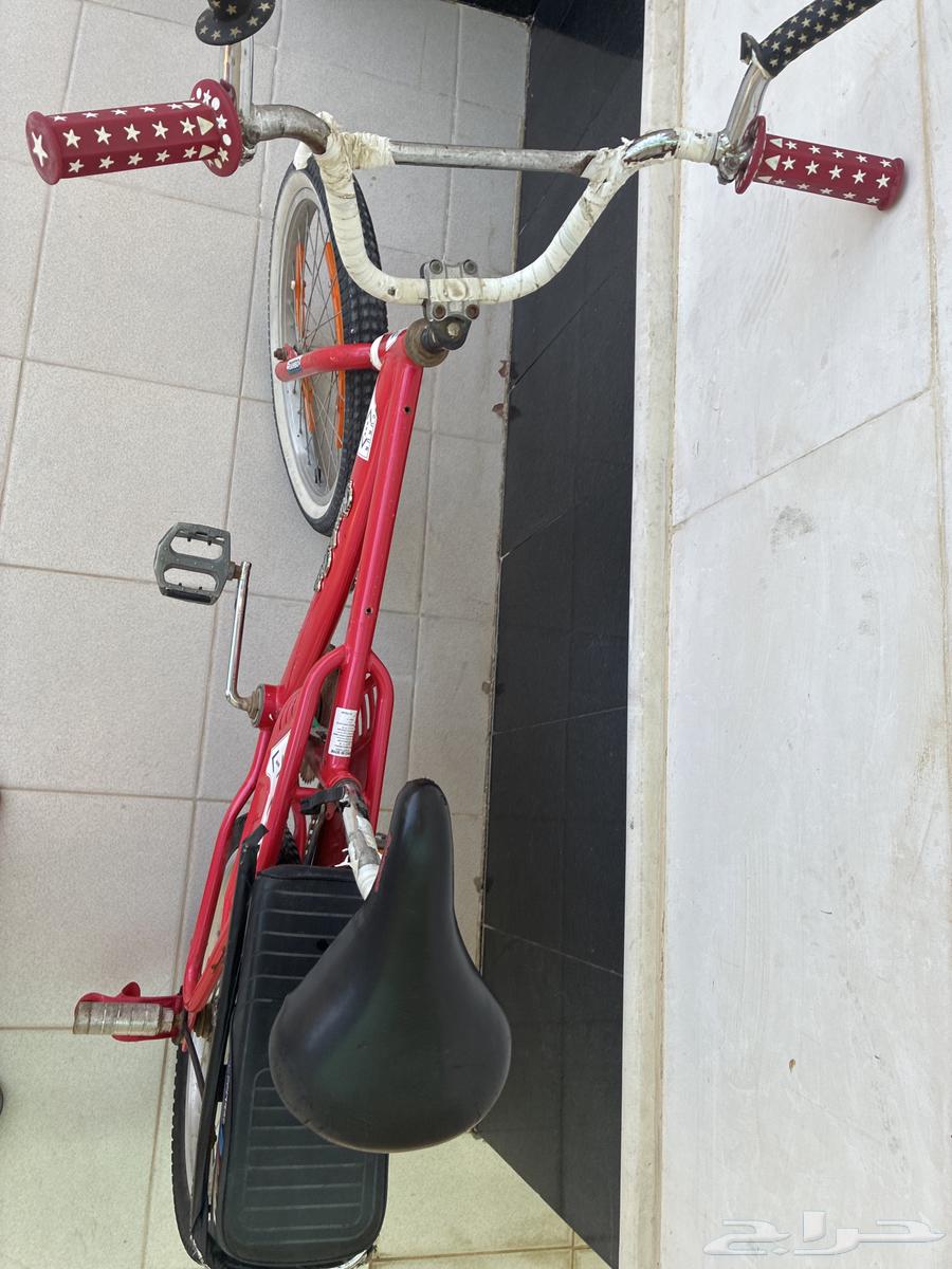 Clean red Rambo64592408331778113