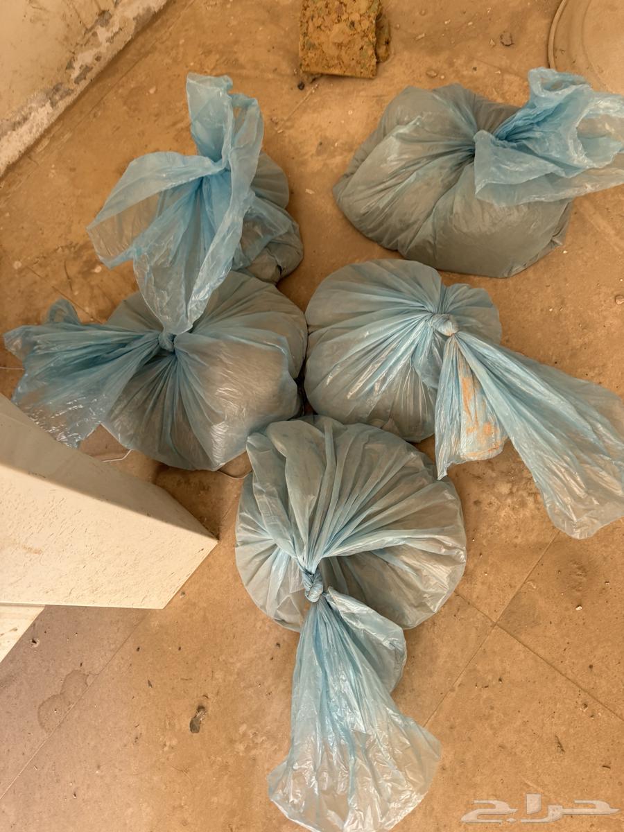 غبار تخزين64590274838019111