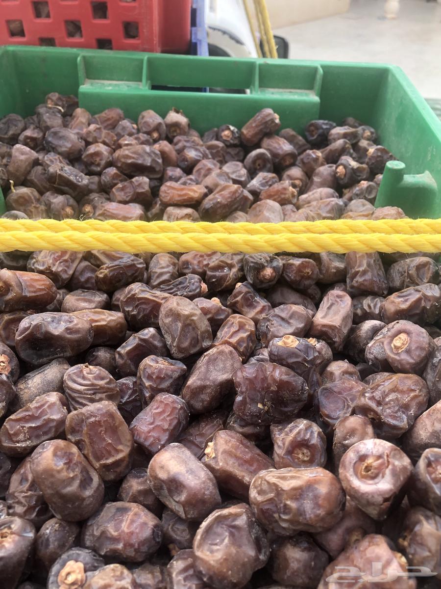 للبيع تمور64592213780611110