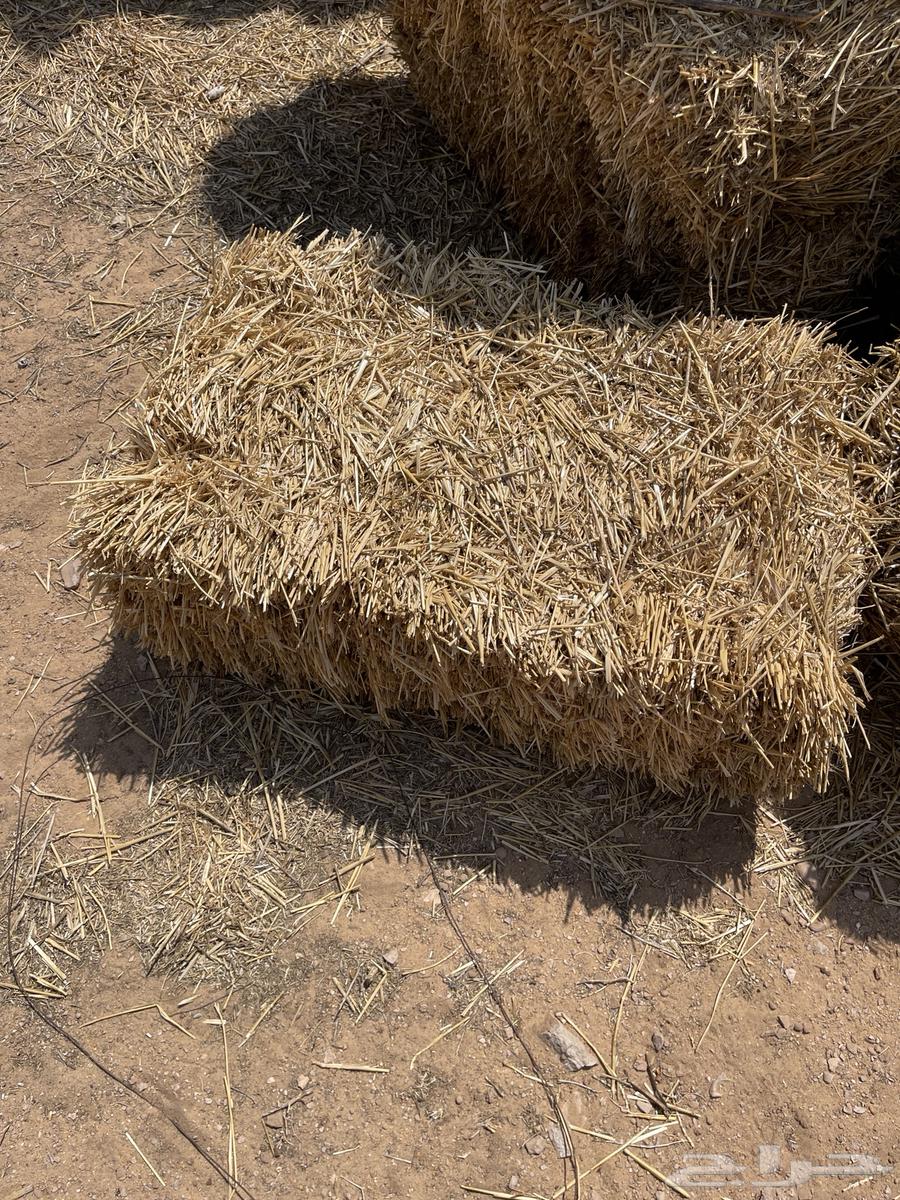 تبن بر للبيع64588371797507110