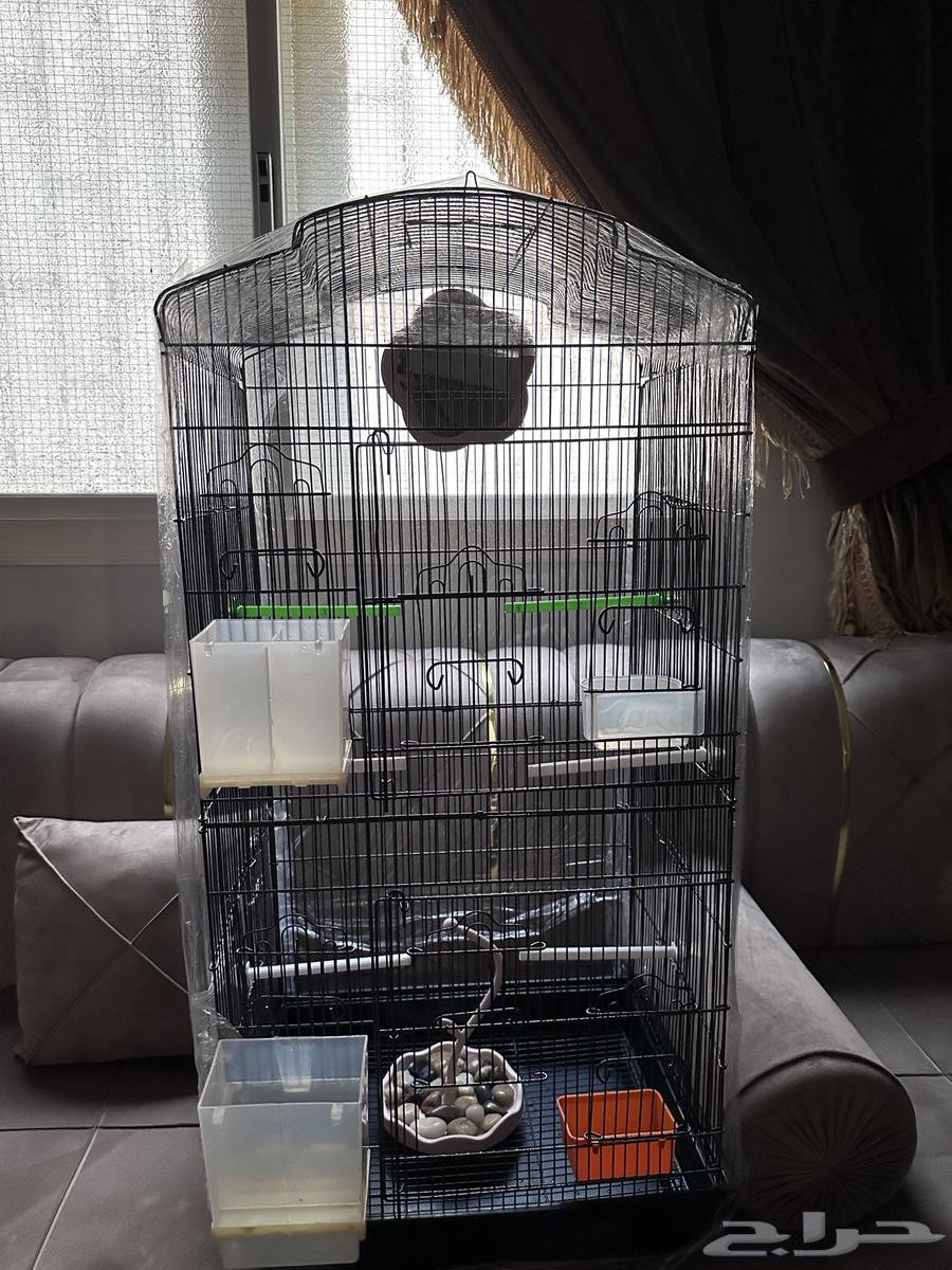 Presenting a large bird cage, lightly used, clean and new, now for sale64575098627329111