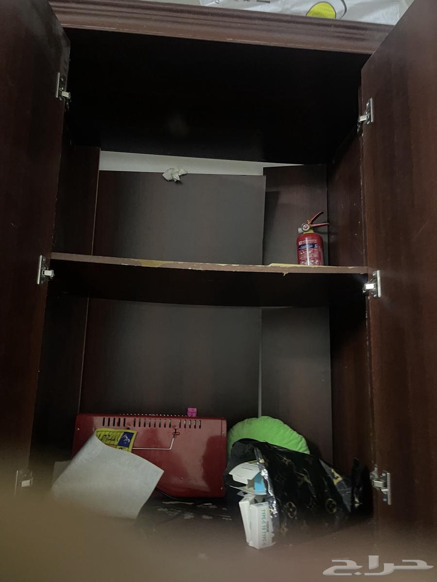 درج مستخدم خشب64593949967362111