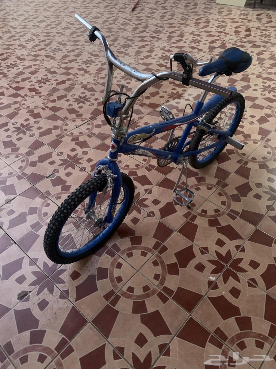 سيكل كوبرا نظيف64593900532865110