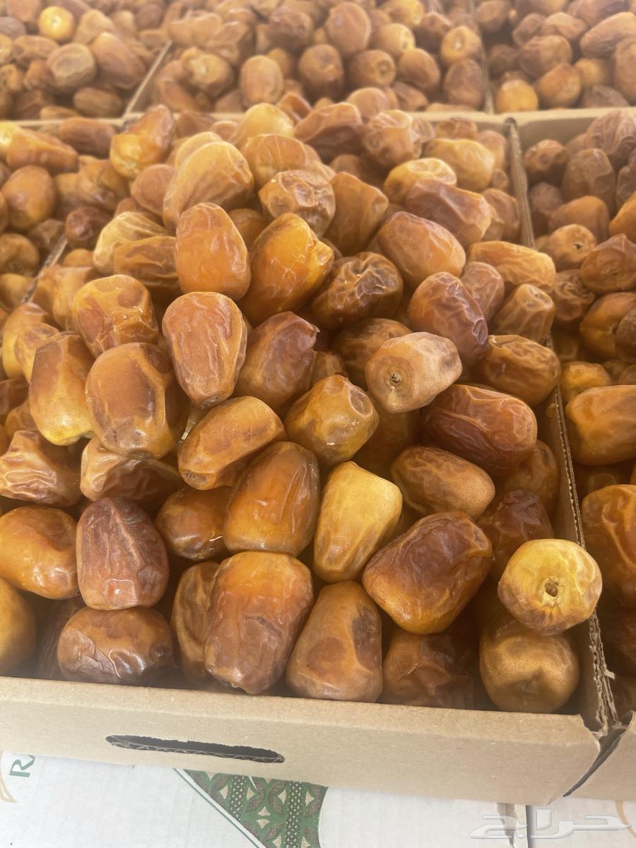 تمر مقتل نضيف وشرط مجاء كميوي64592588853121112