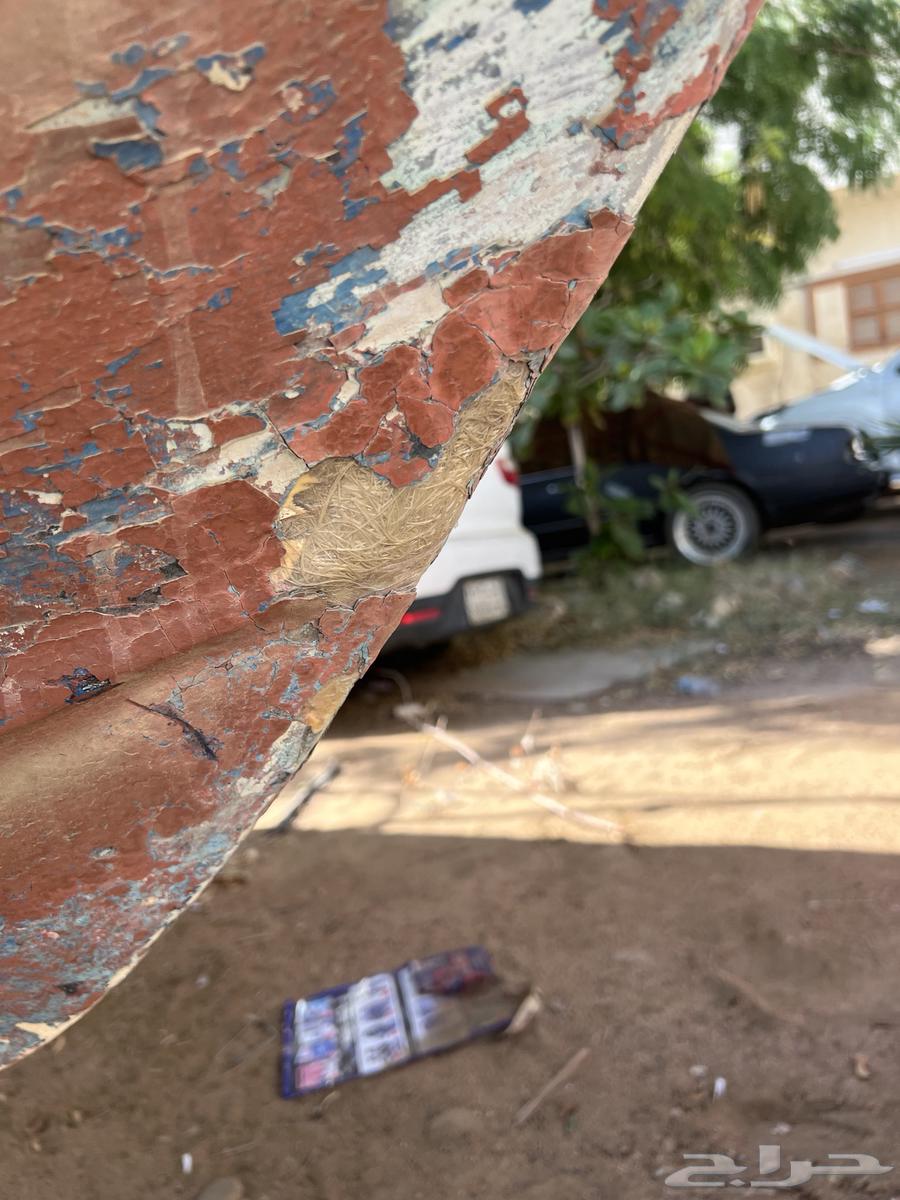 لنش ( الضاعن ) طبقتين بدون أوراق ب 2500 ريال64592757495809111