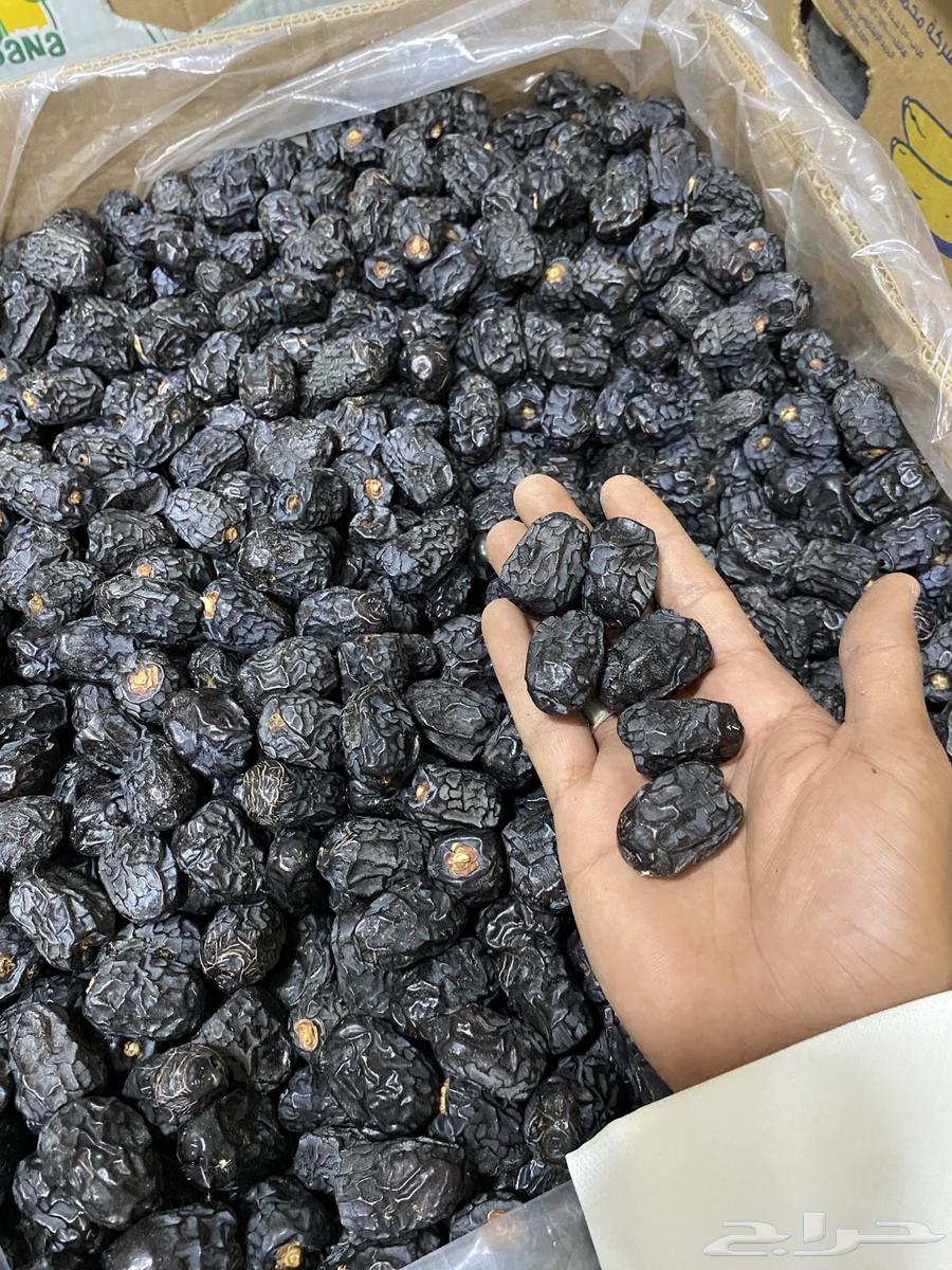 Organic Ajwa Dates64588310389123113