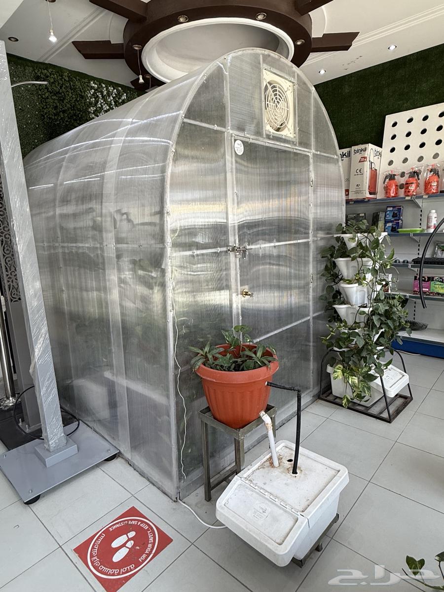 طريق ابي بكر الصديق64590545743619114