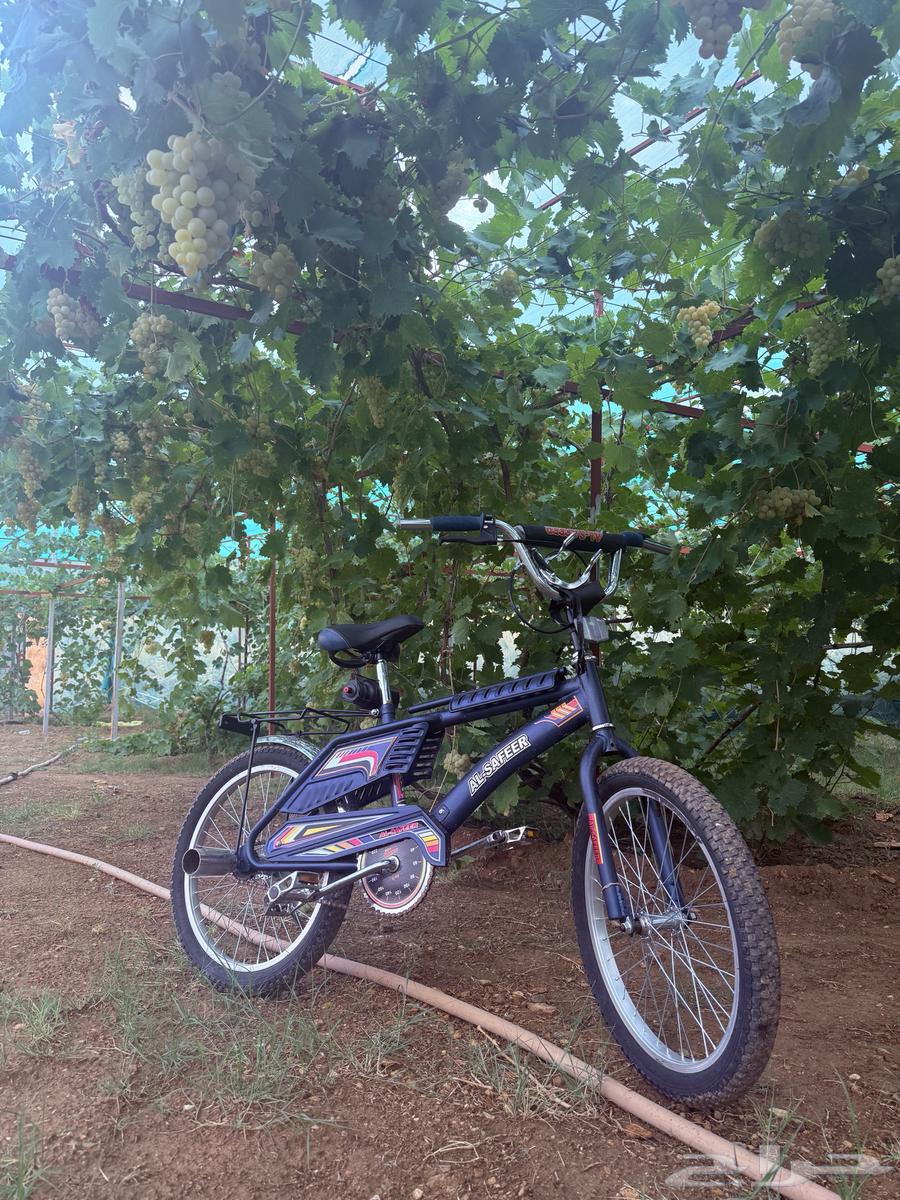 سيكل رامبو السيكل اصلي اندنوسي الختم مسروق و المرتبه.64595428501249111