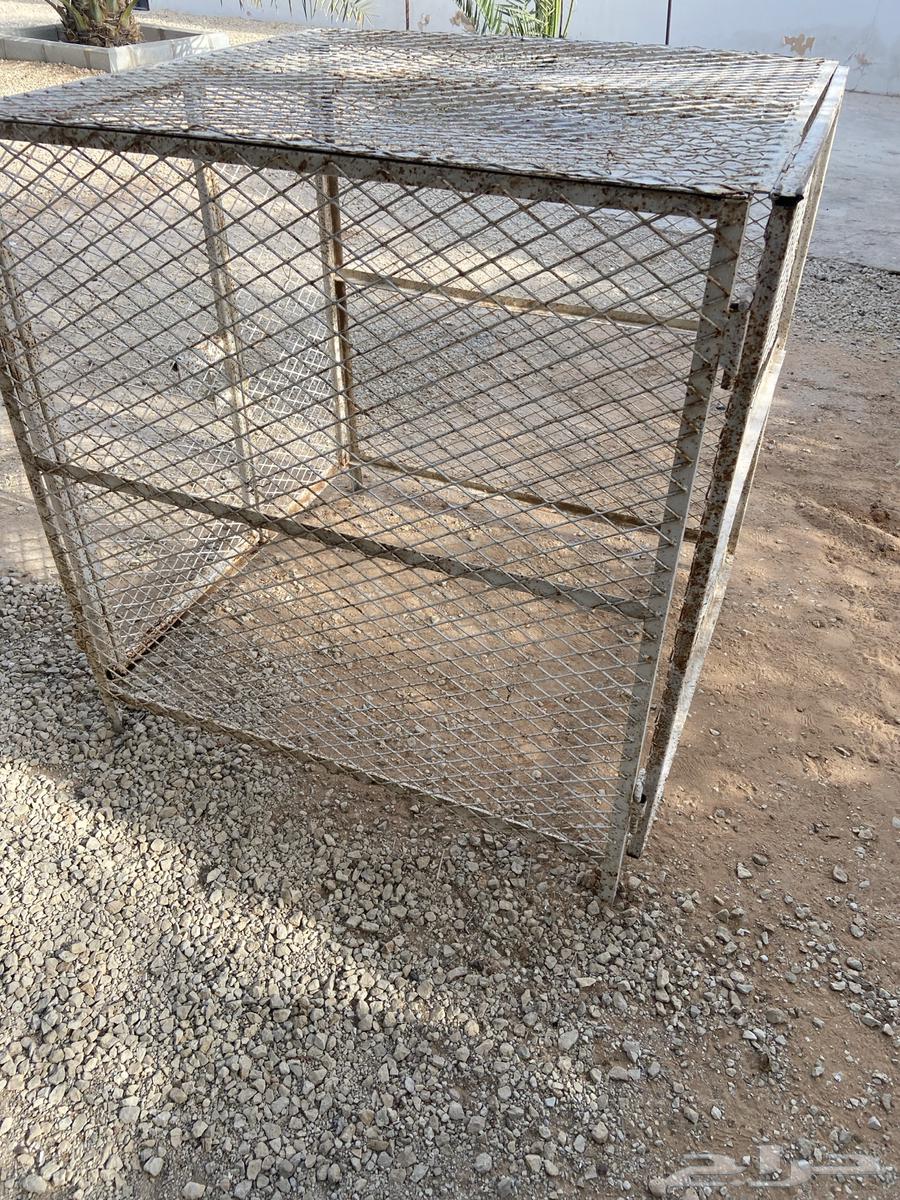 شبك طيور64590165063811110