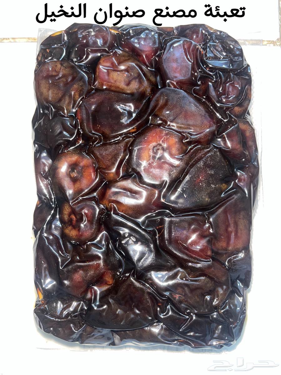 صنوان النخيل و سعوديه و نوع مجهول64560122694274111