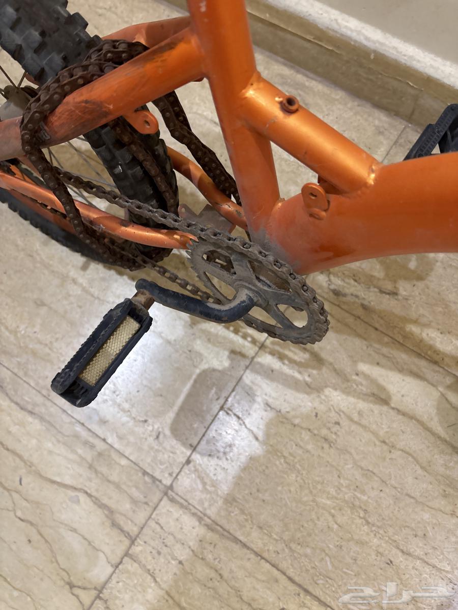 سيكل للبيع64591334820226113